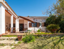 Maison Surf