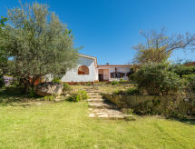 Maison Surf