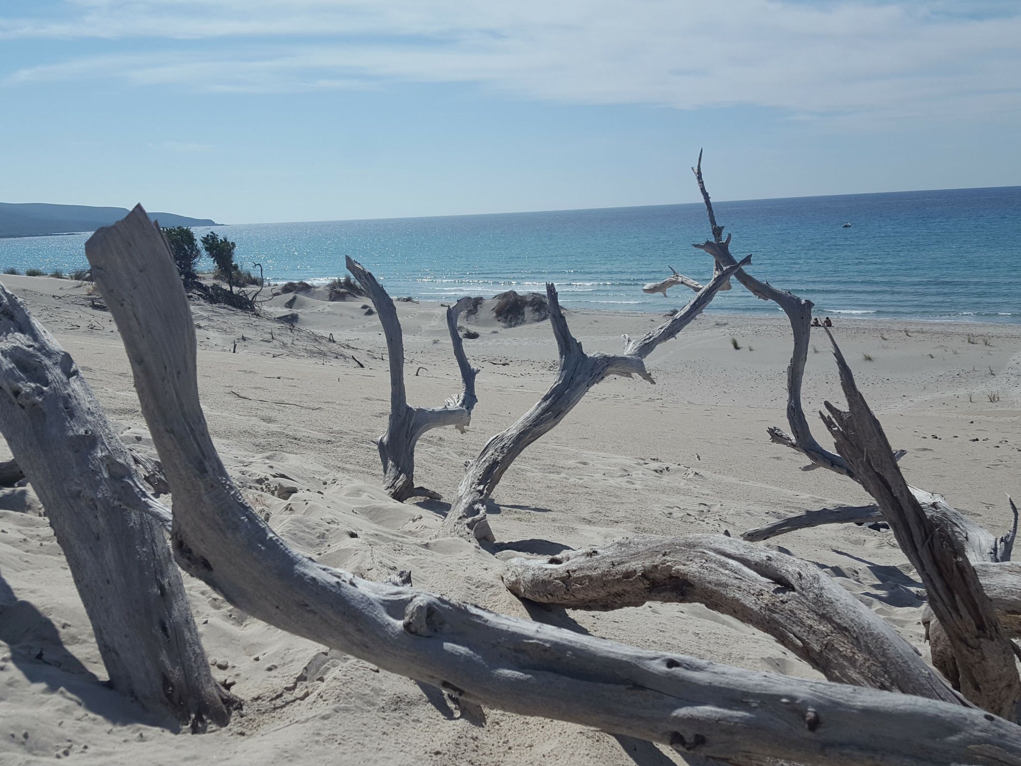 Suite Wohnungen i4mori Porto Pino-Buiten