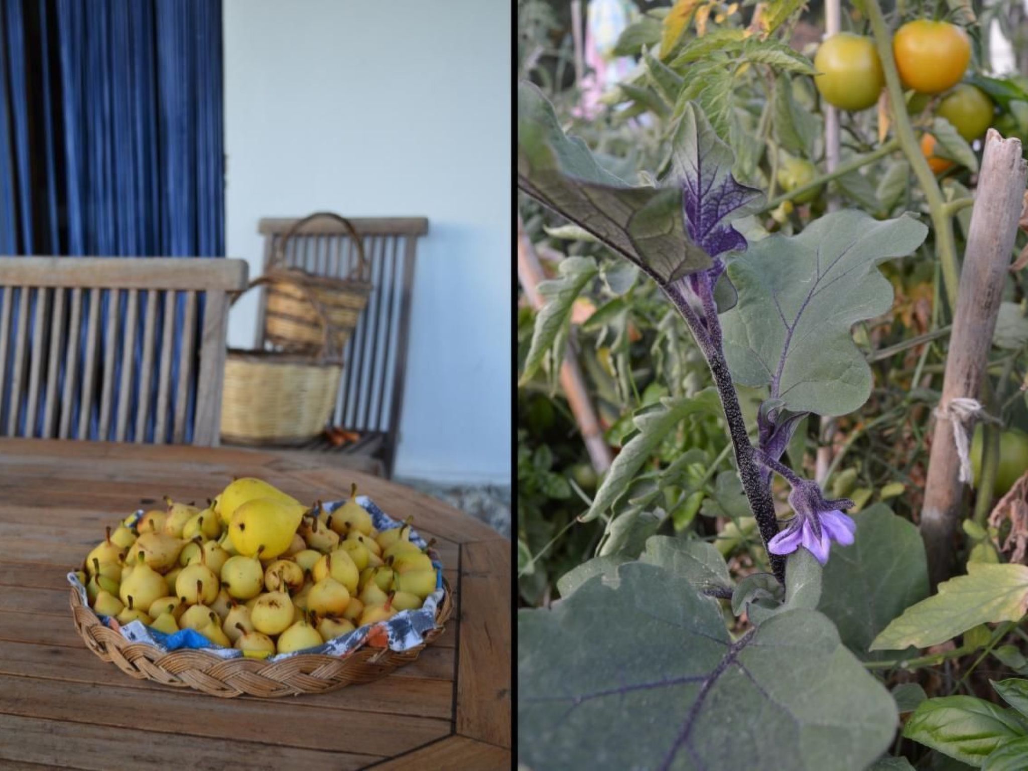 Su Sole de Barega-Image-tags.info