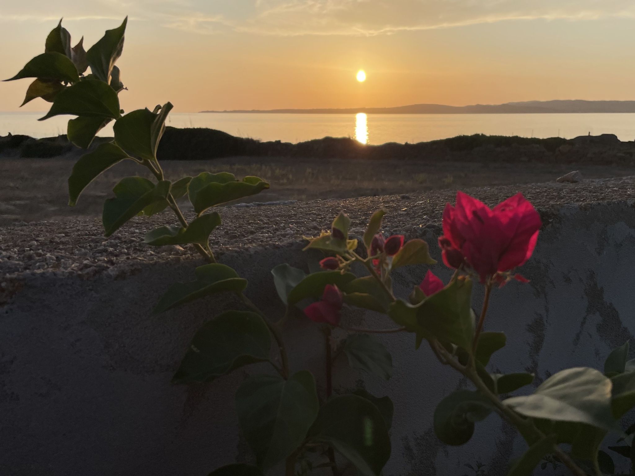 Wohnung in Calasetta mit Grill und Garten-Image-tags.info