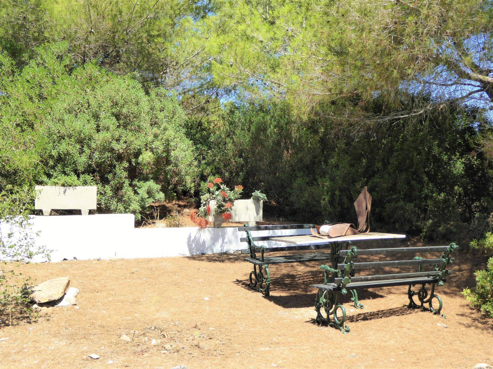 'Luciana' mit Wasserblick-Image-tags.info