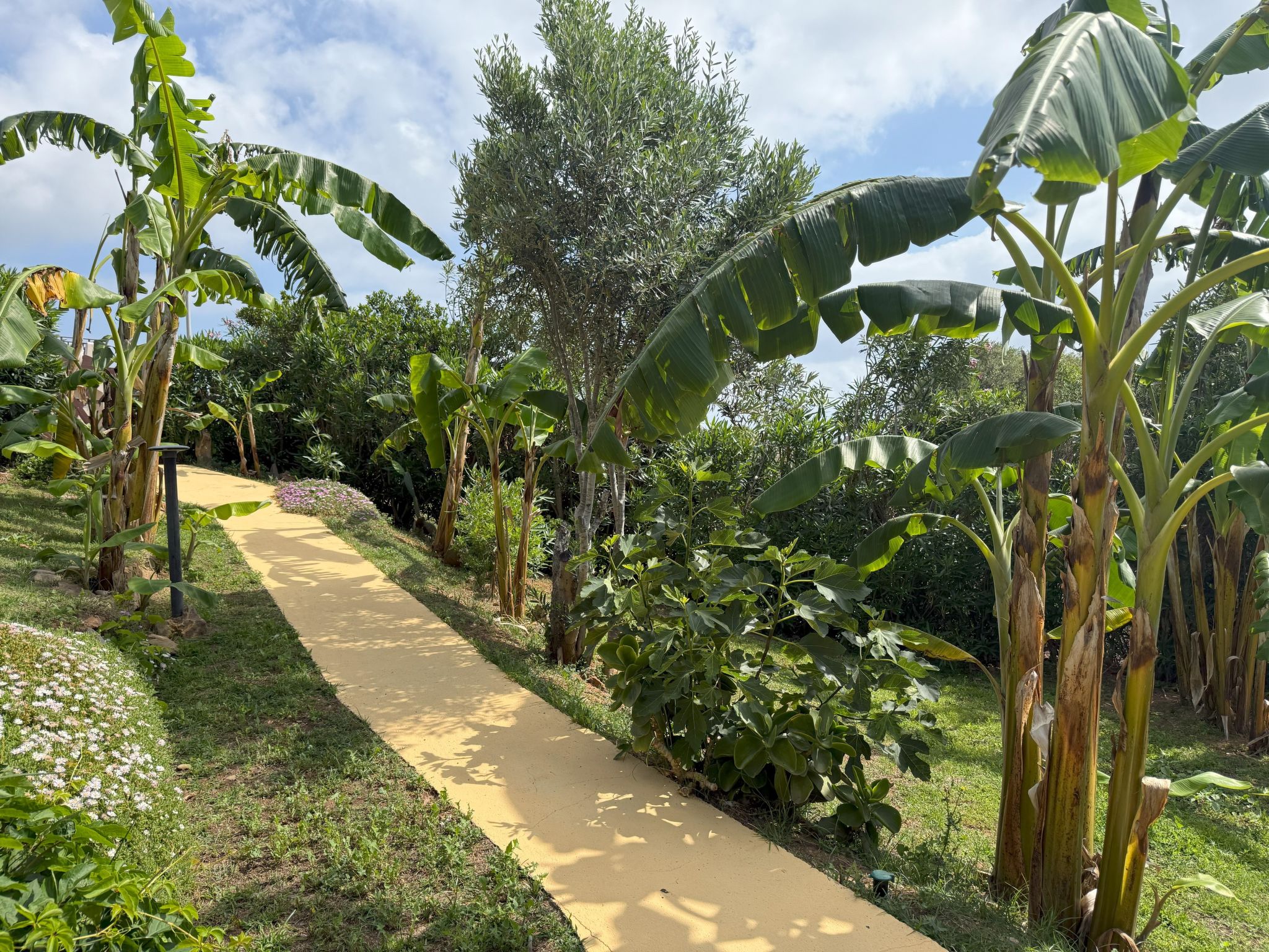 Villa in Banani-Image-tags.info