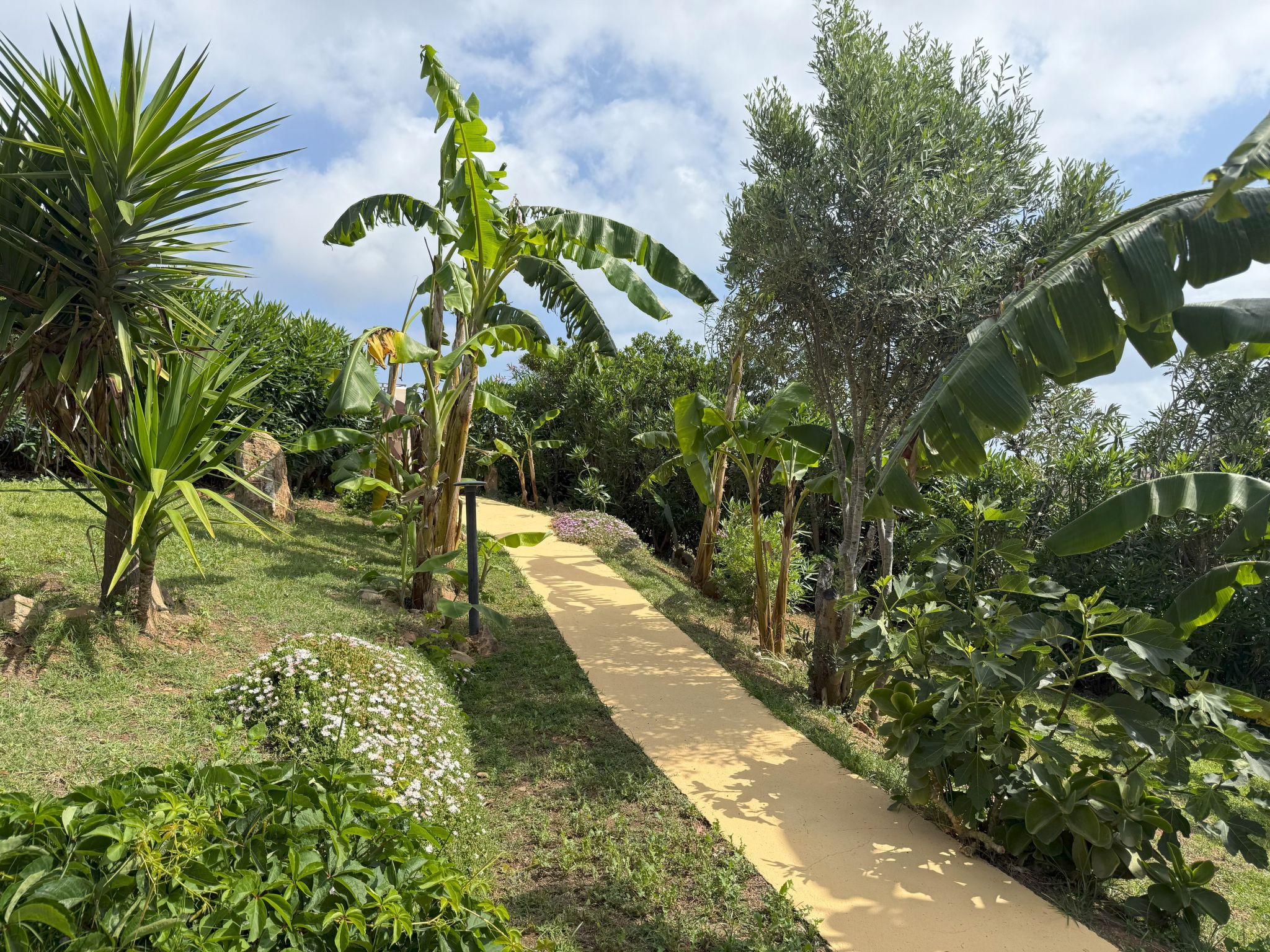 Villa in Banani-Image-tags.info