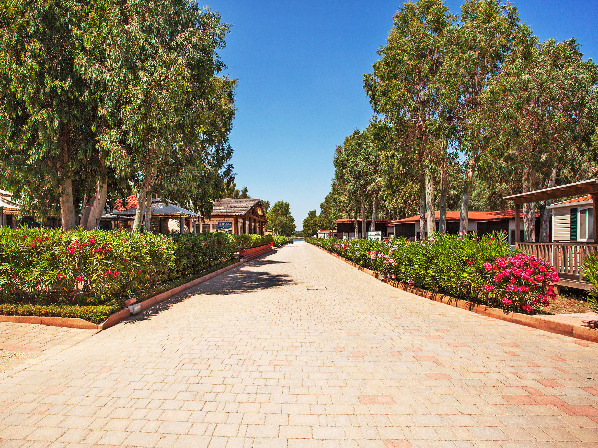 Photo of Camping Village Laguna Blu