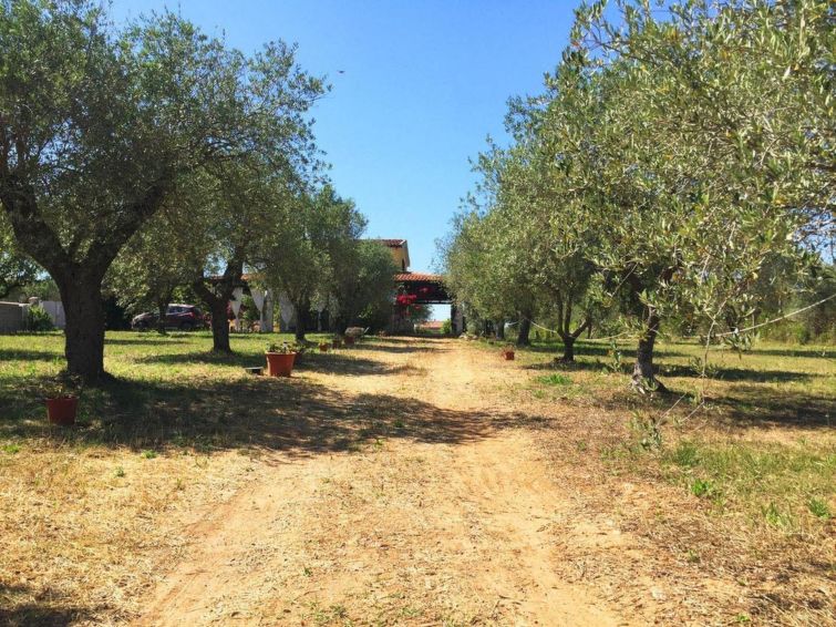 Photo of Villa Luminosa