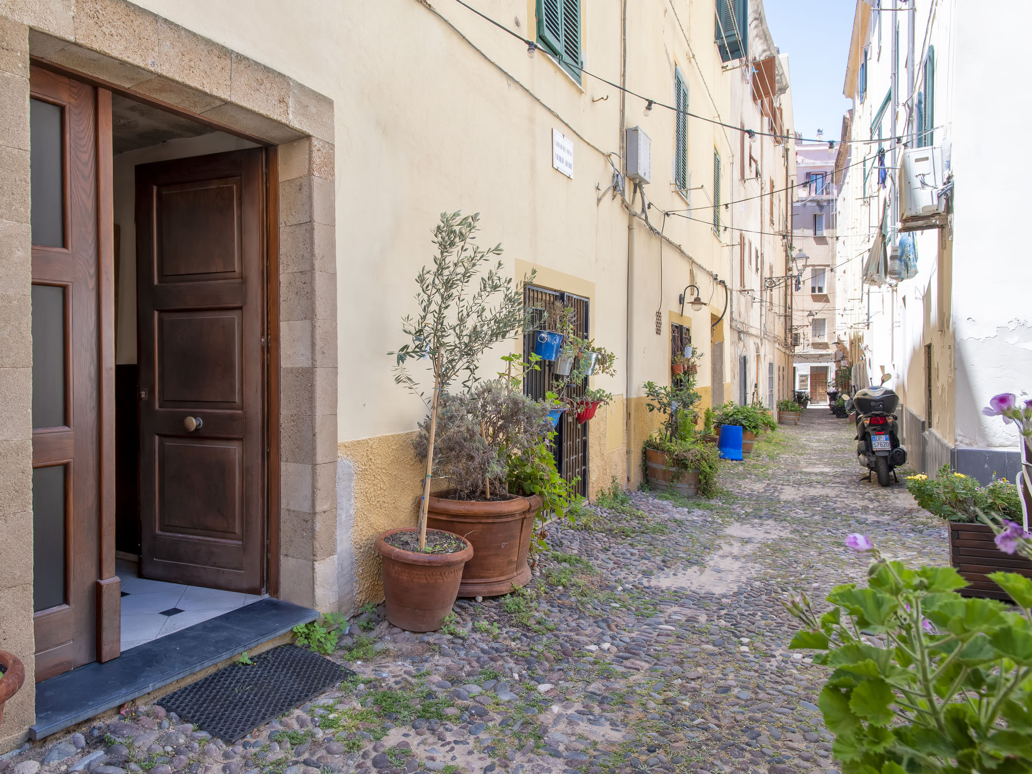 Il corallo di Patty-Outside