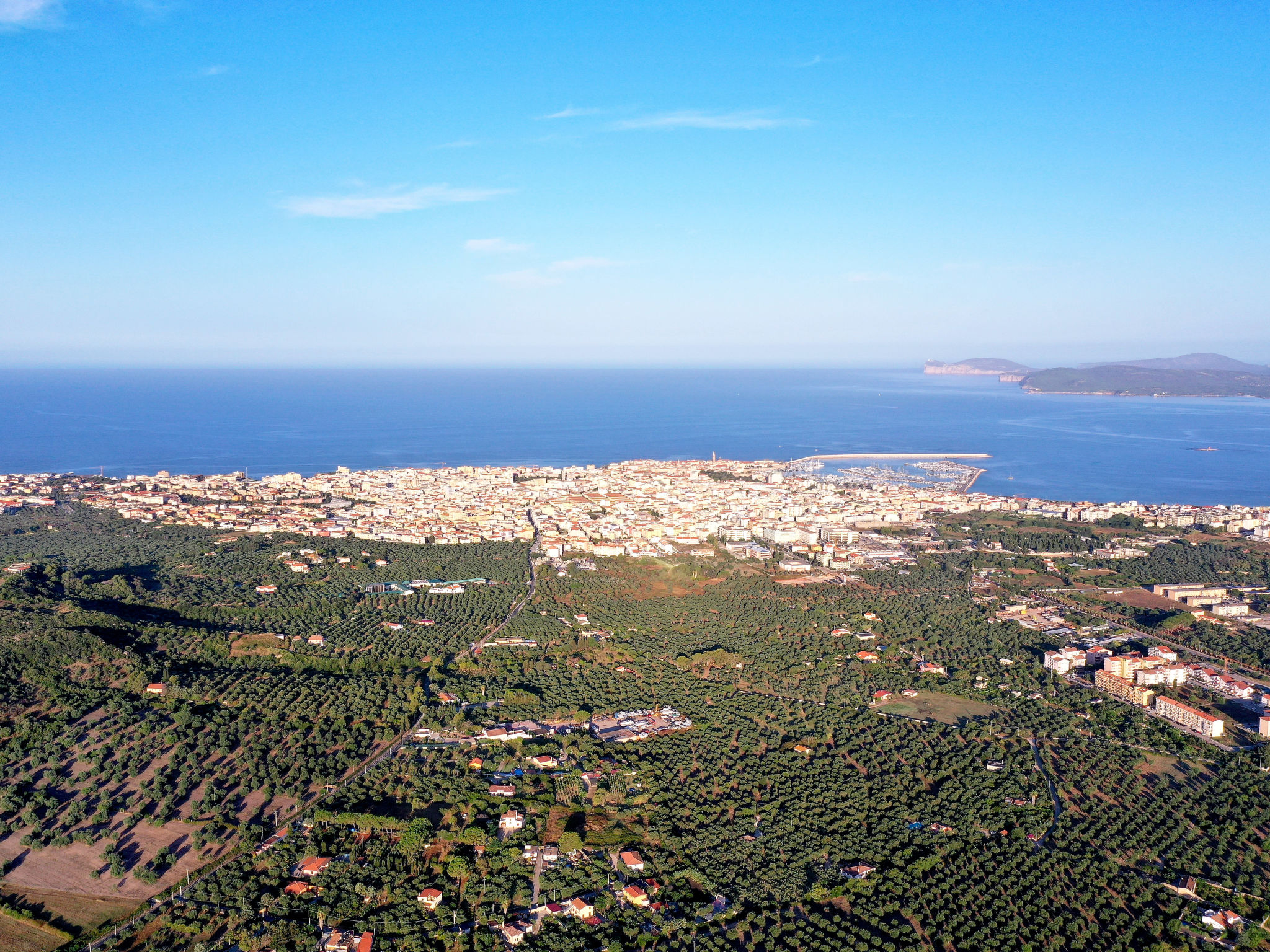 Mariposa - Area