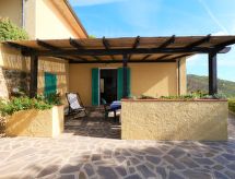 Oasis 1