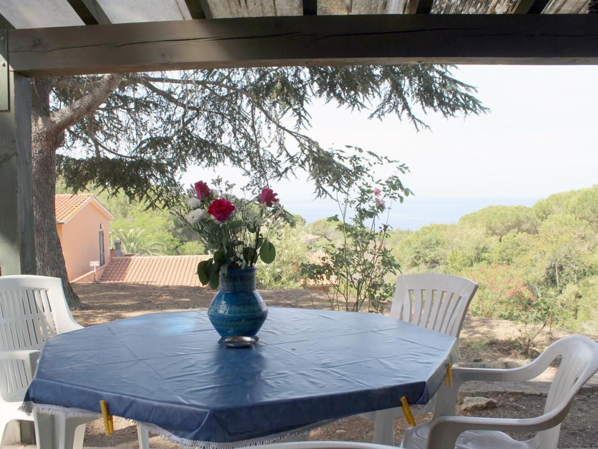 Vakantiehuis in Capoliveri (Italië) 1 hond is welkom