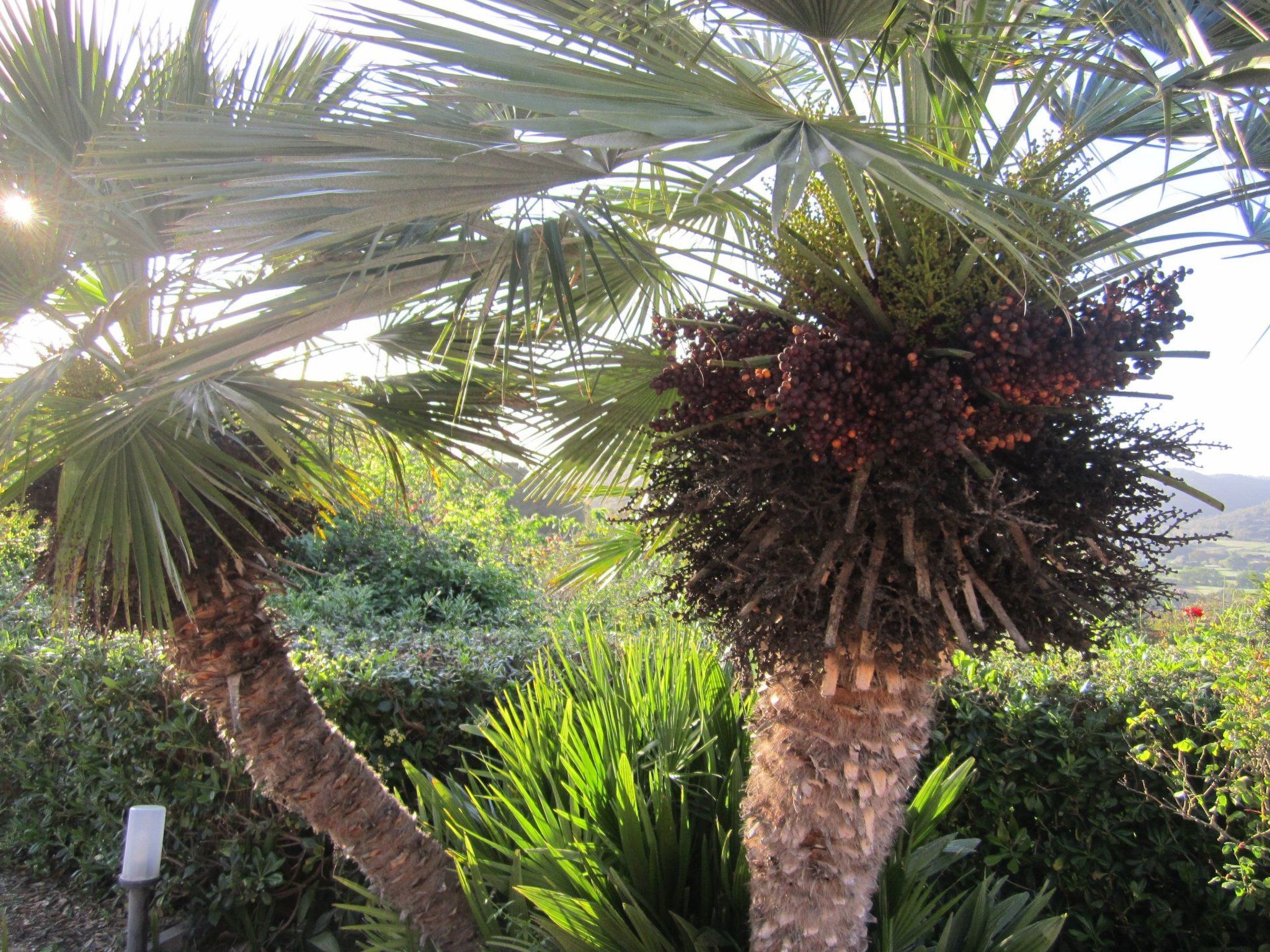 Wohnung mit Wasserblick-Binnen