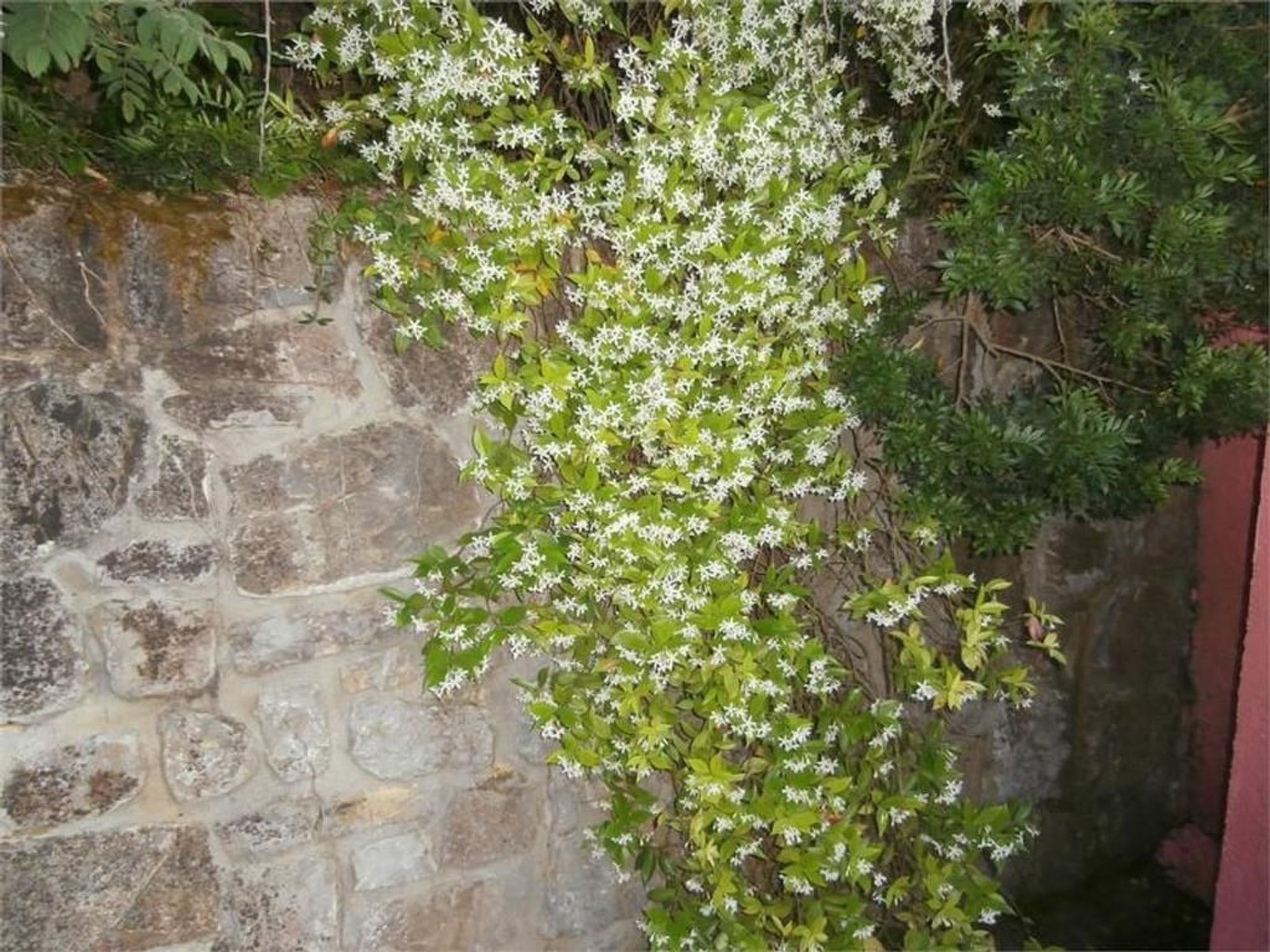 Wohnung mit Wasserblick-Binnen