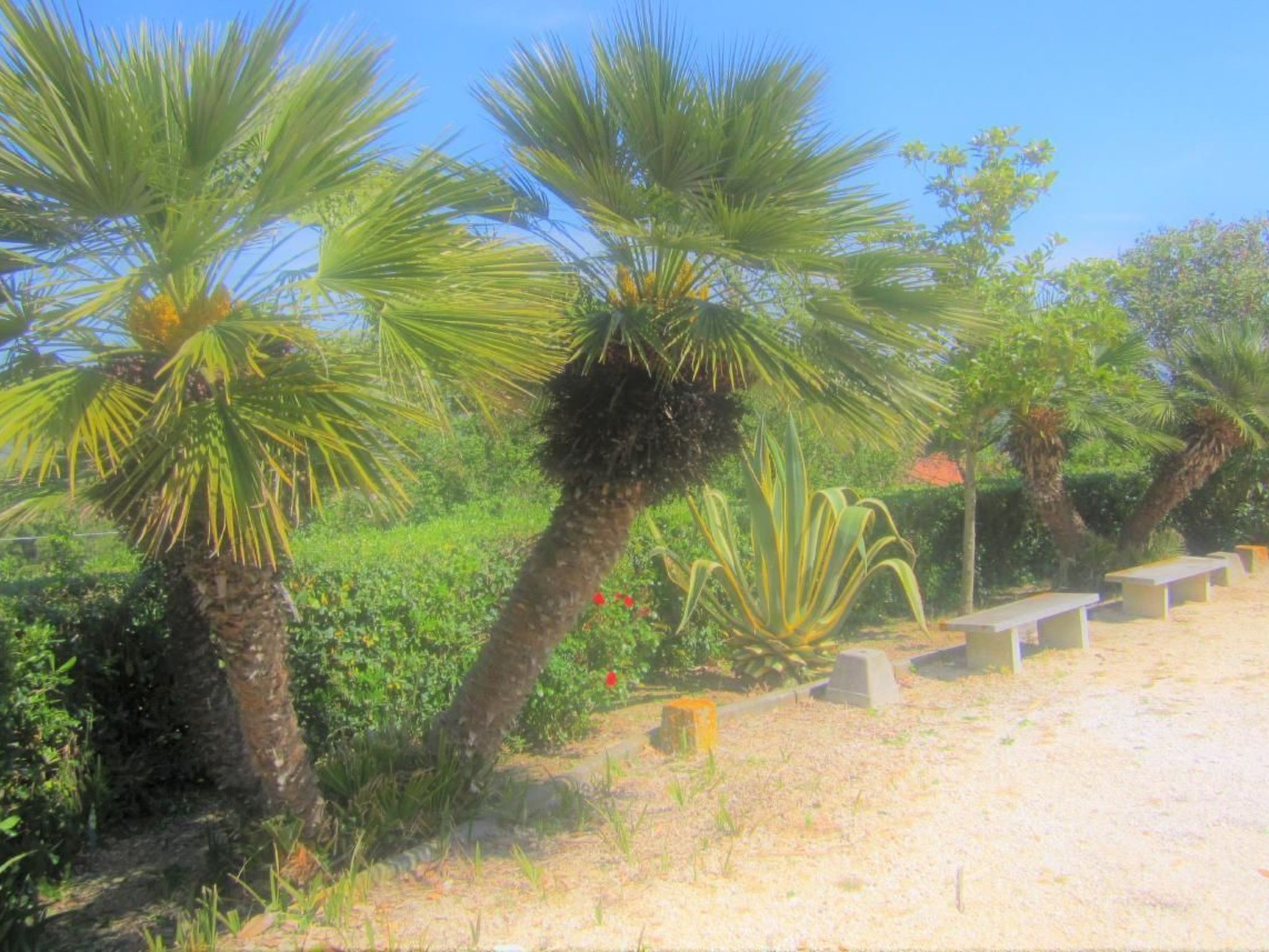 Wohnung mit Wasserblick-Binnen
