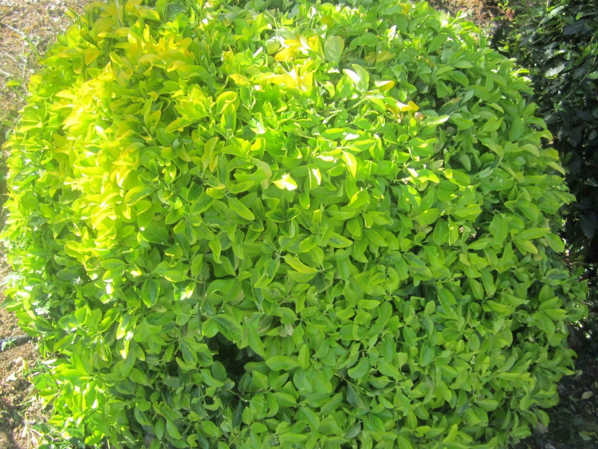 Wohnung mit Wasserblick-Binnen