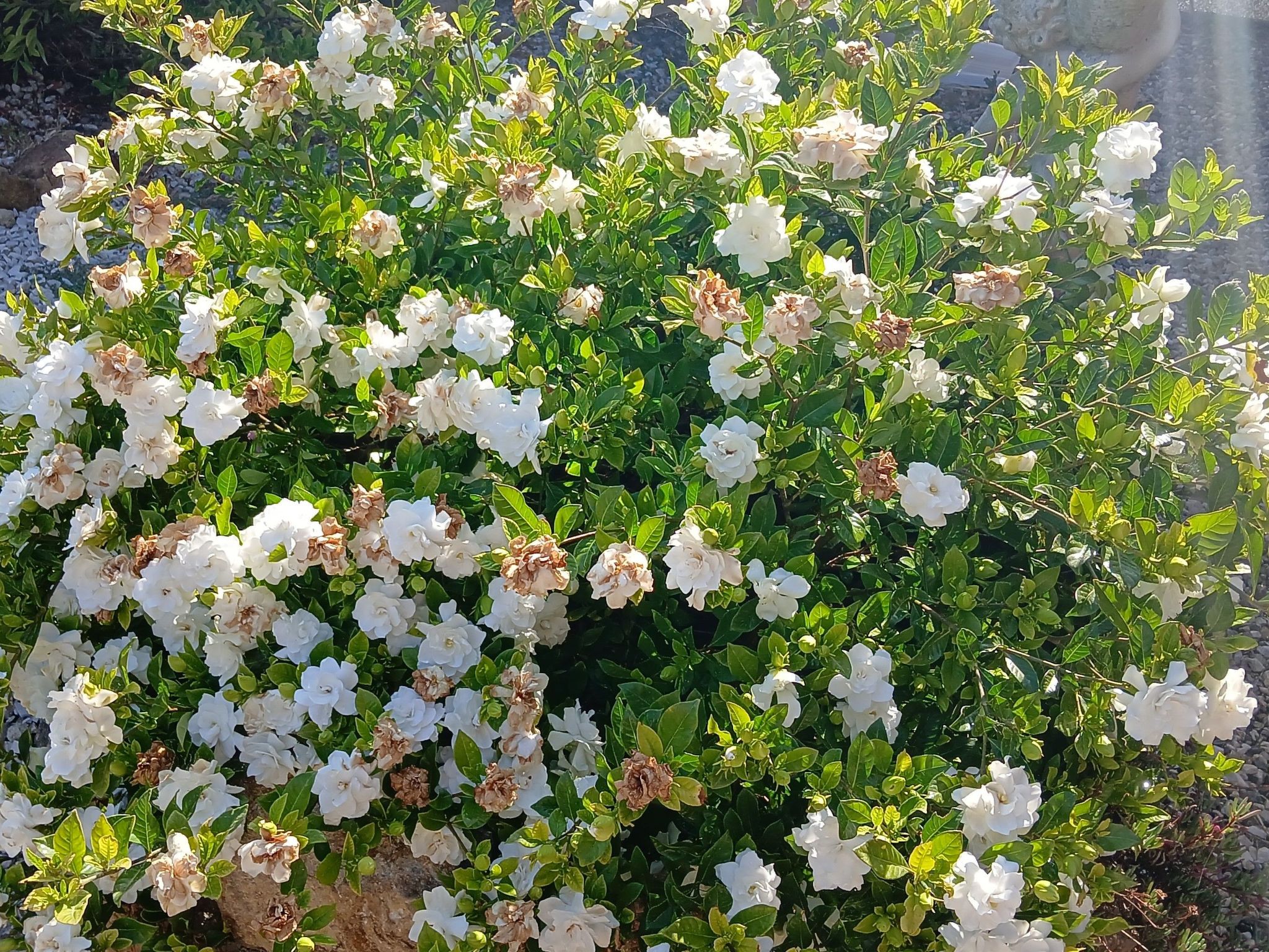 Wohnung mit Wasserblick-Binnen