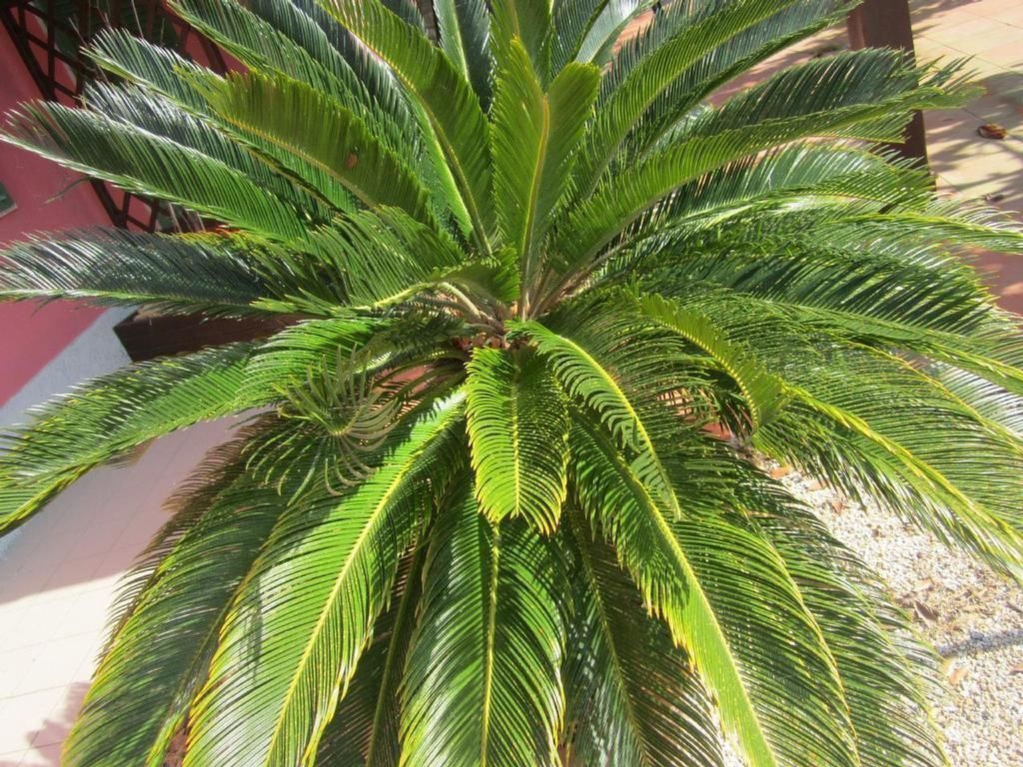 Wohnung mit Wasserblick-Binnen