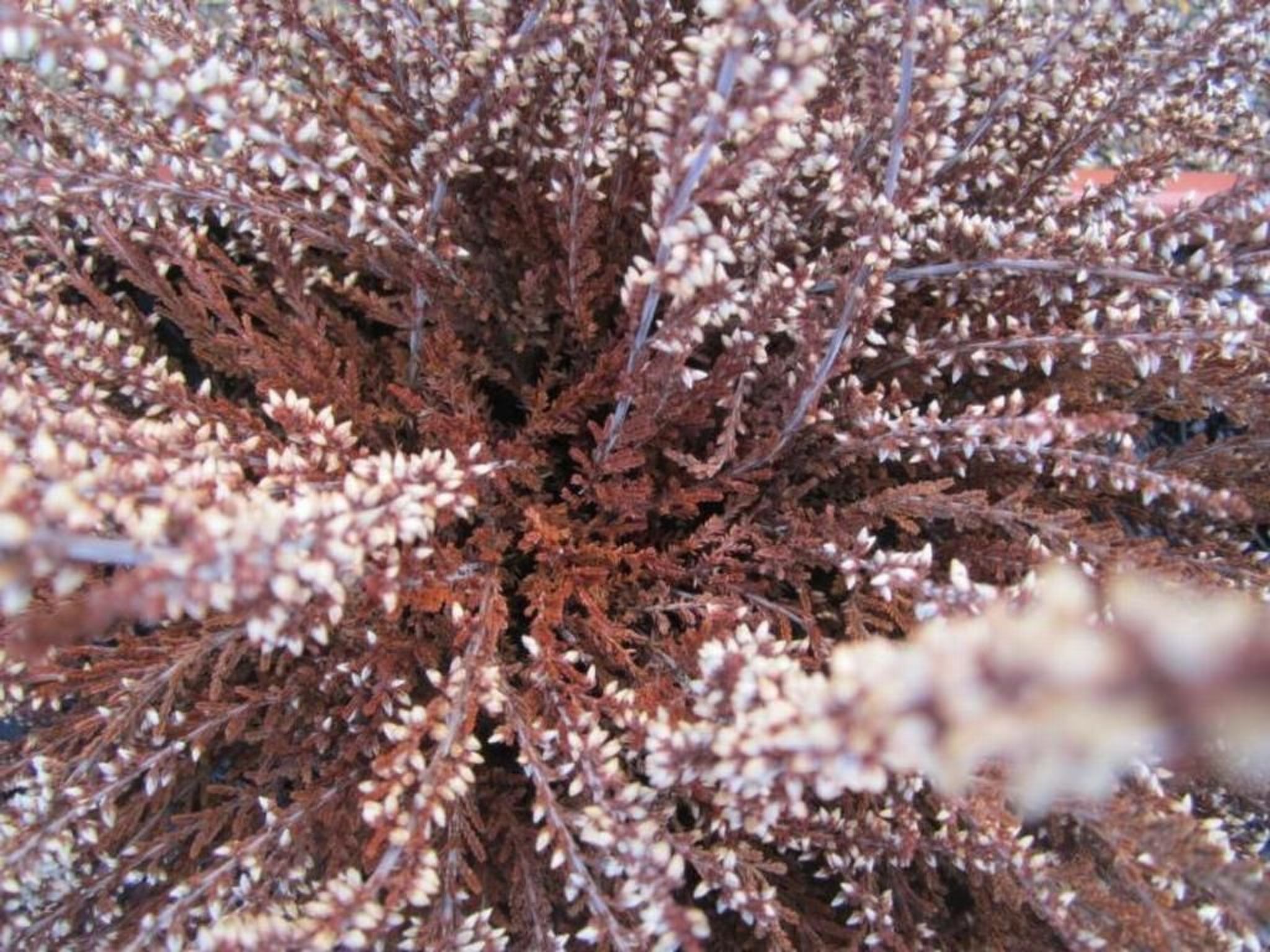 Wohnung mit Wasserblick-Binnen