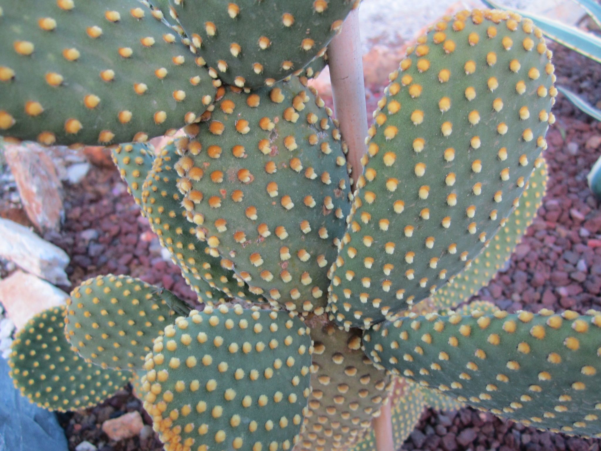 Wohnung mit Wasserblick-Binnen