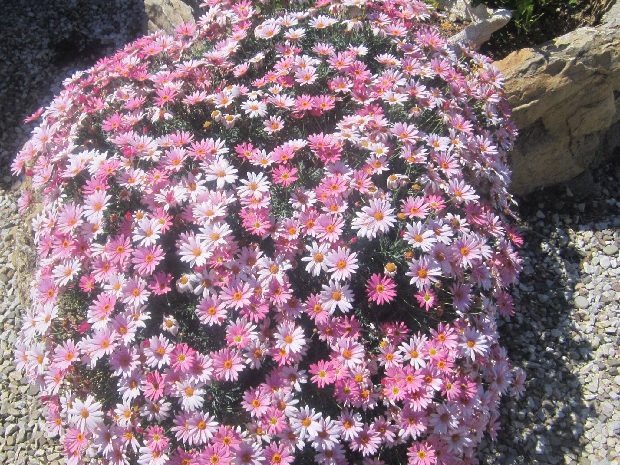 Wohnung mit Wasserblick-Binnen