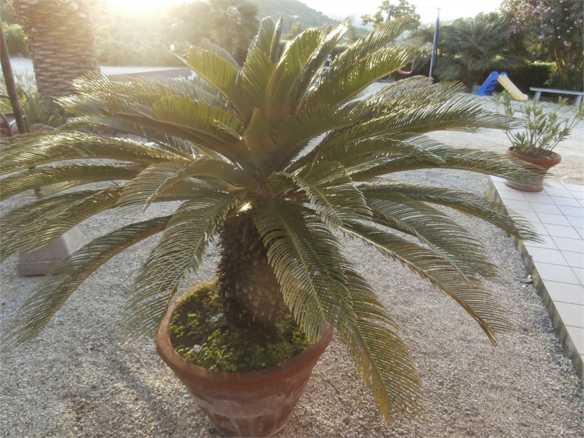 Wohnung mit Wasserblick-Binnen