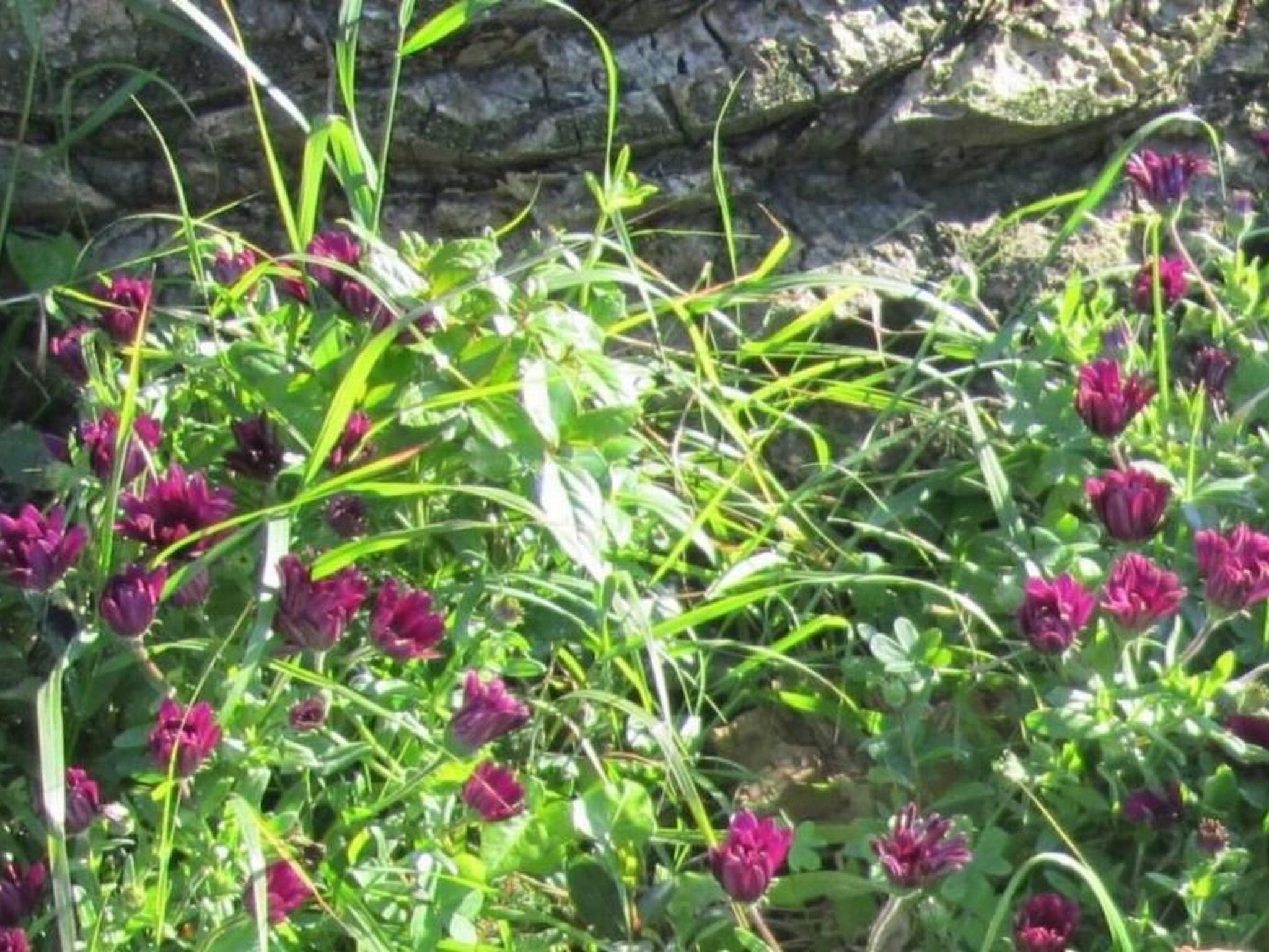 Wohnung mit Wasserblick-Binnen