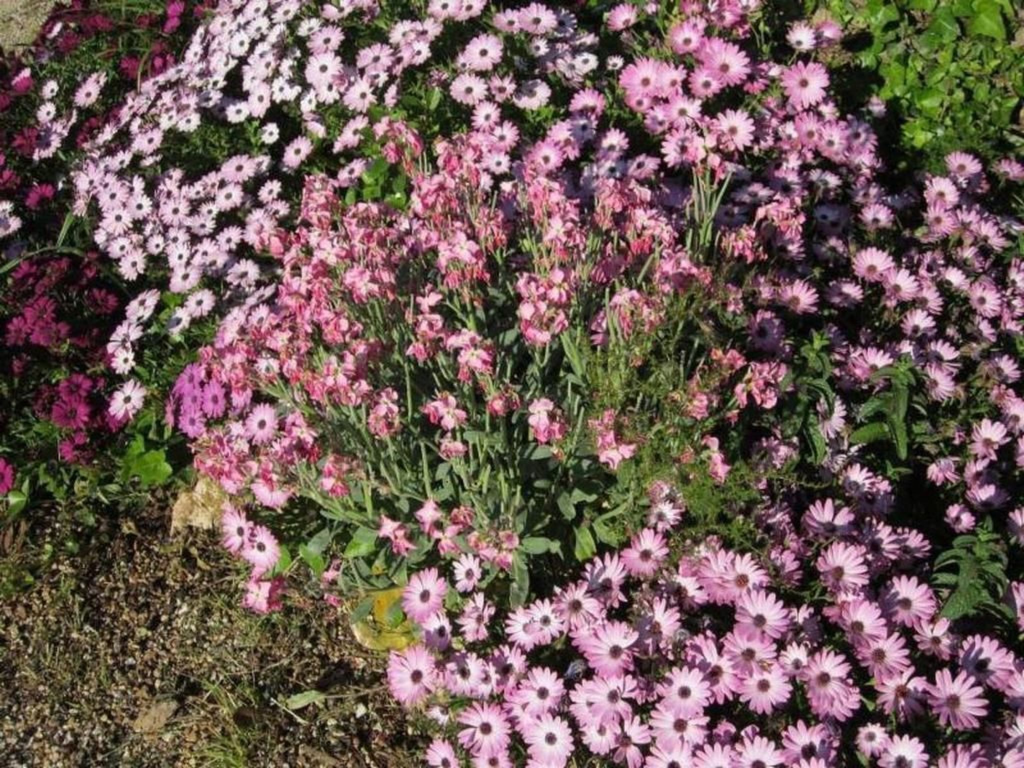 Wohnung mit Wasserblick-Binnen