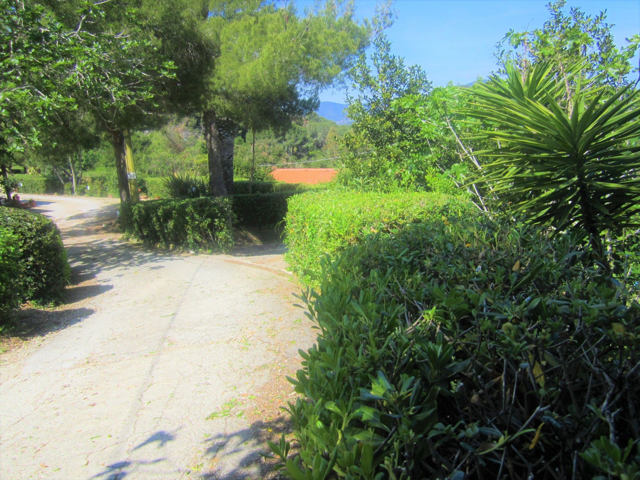 Wohnung mit Wasserblick-Binnen