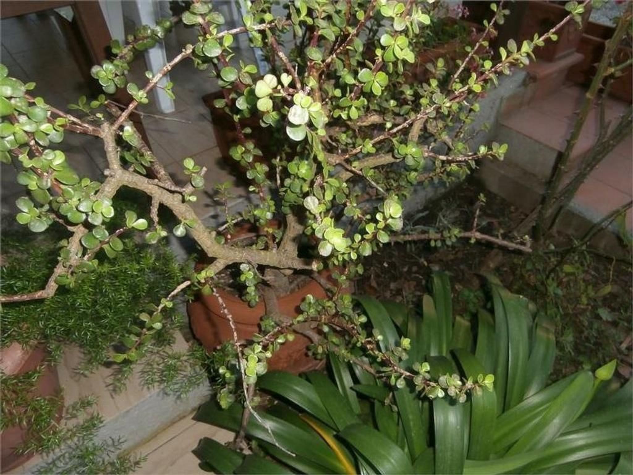 Wohnung mit Wasserblick-Binnen