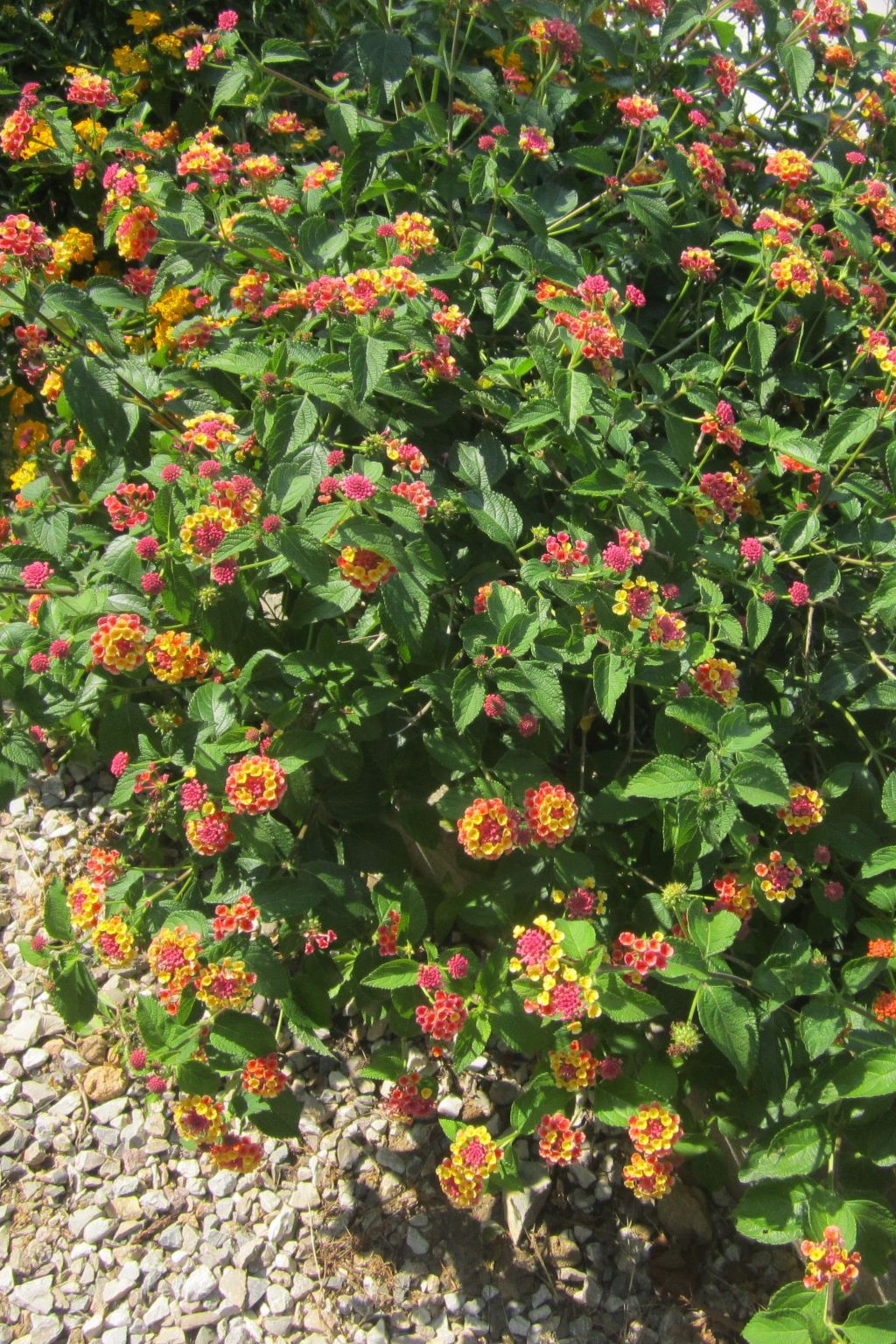 Mit Wasserblick-Inside