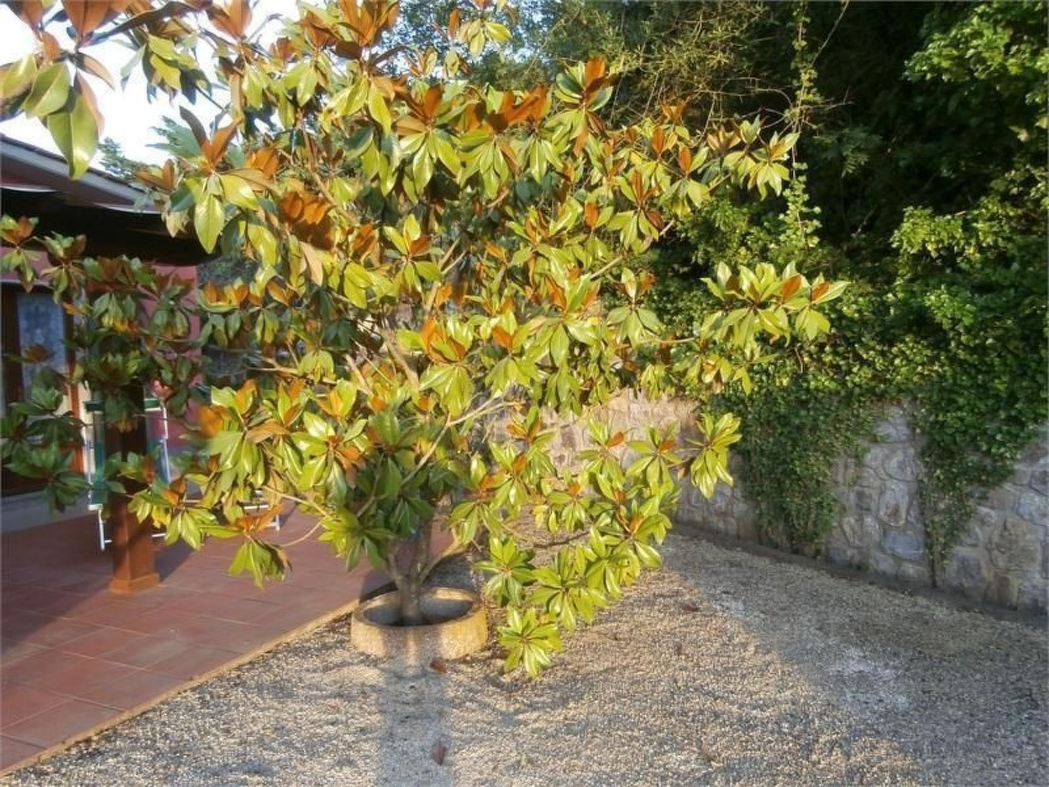 Mit Wasserblick-Binnen