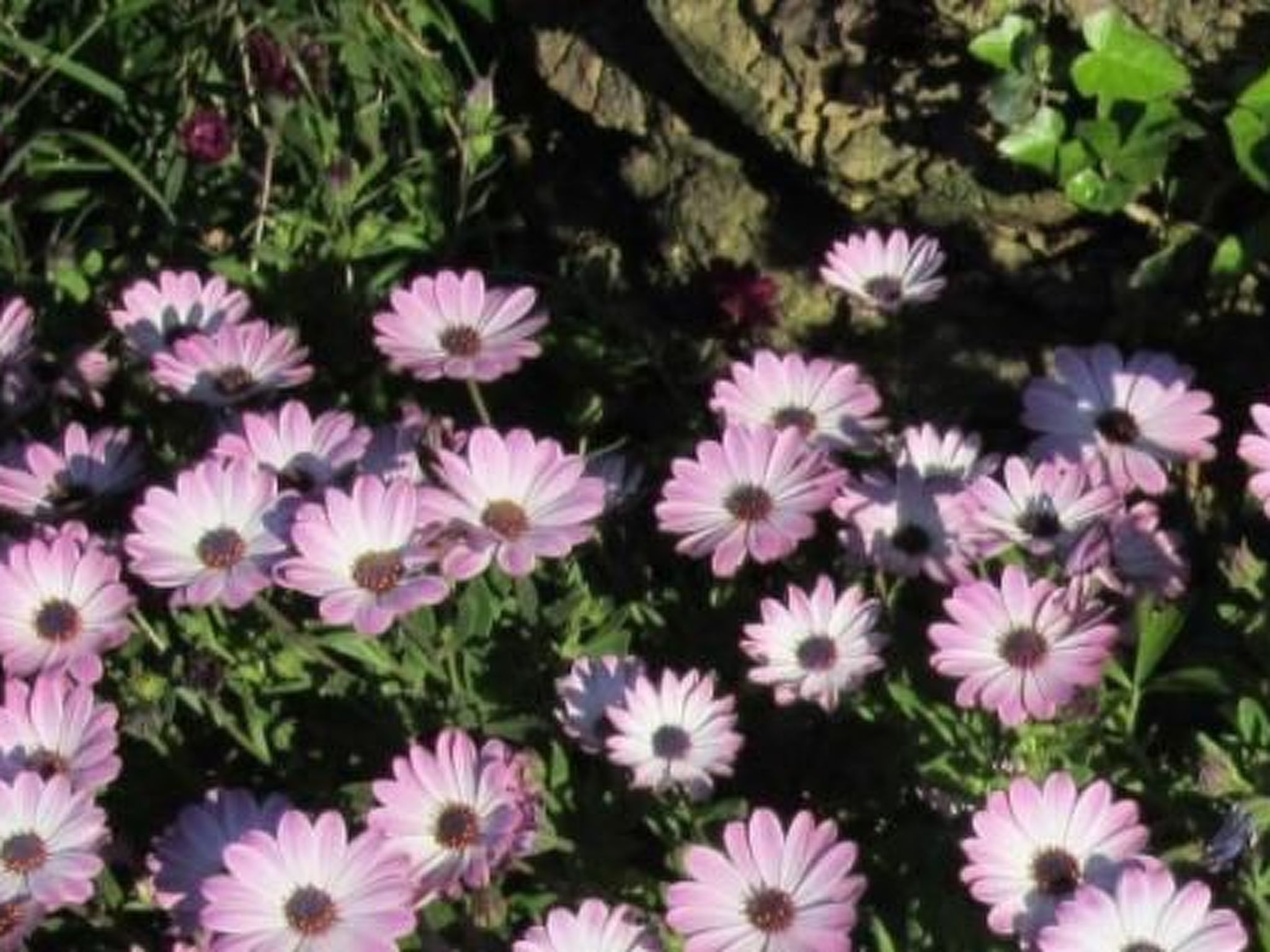 Wohnung mit Wasserblick-Binnen