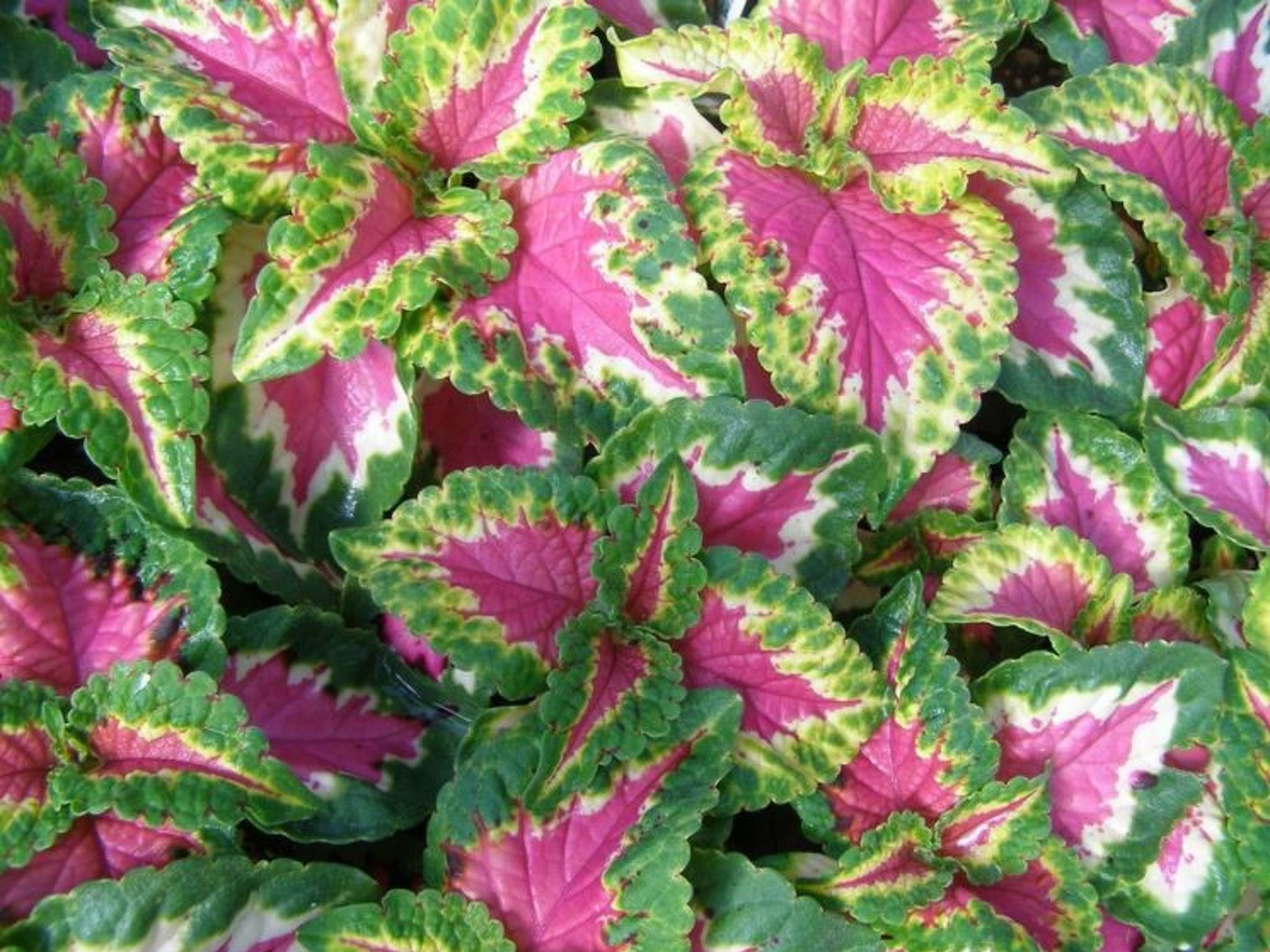 Wohnung mit Wasserblick-Binnen