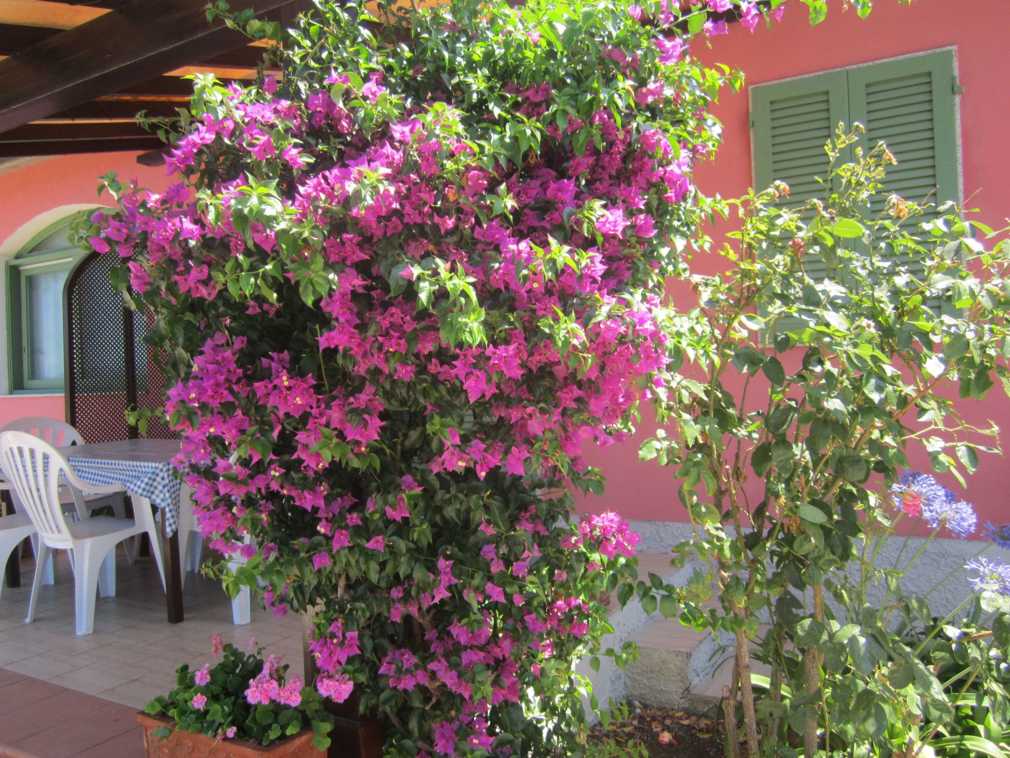 Wohnung mit Wasserblick-Binnen