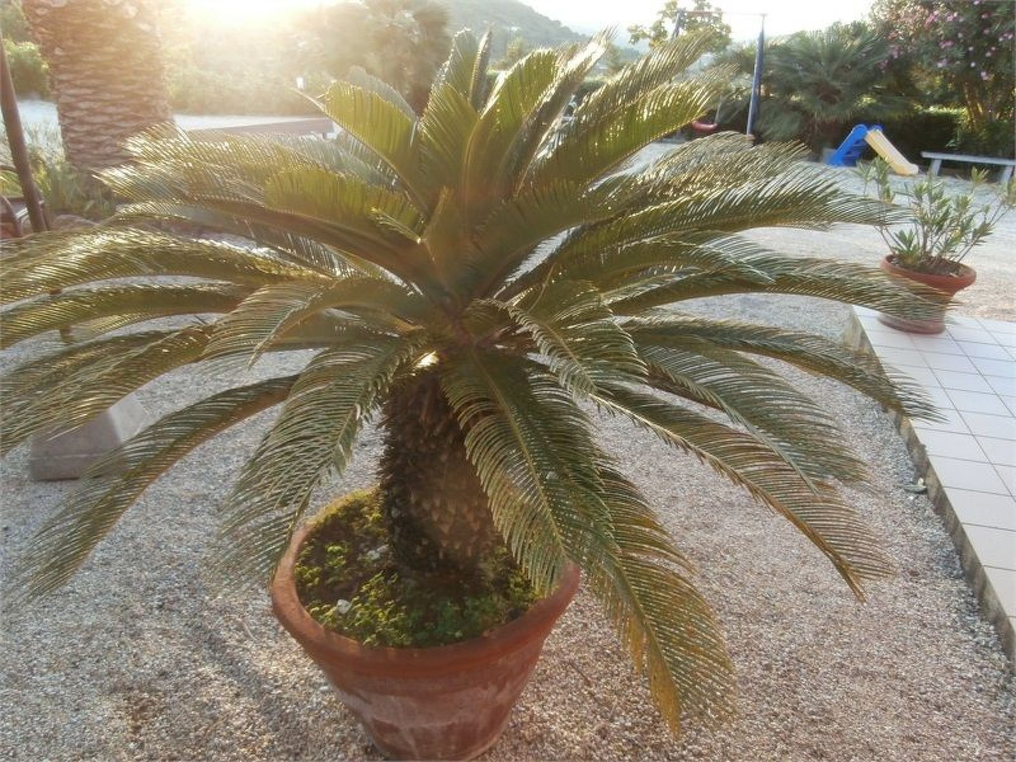 Photo of Wohnung mit Wasserblick