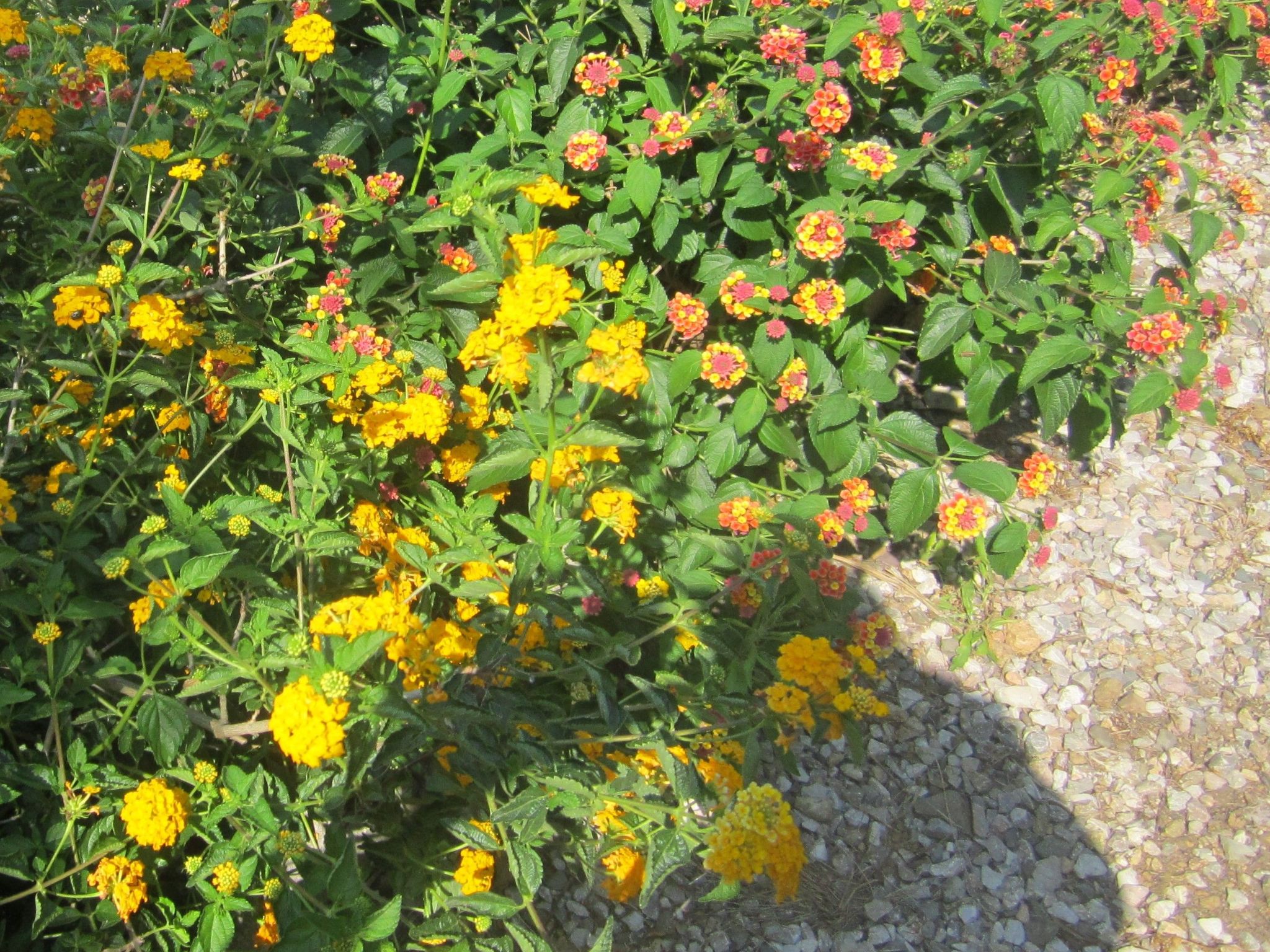 Photo of Wohnung mit Wasserblick
