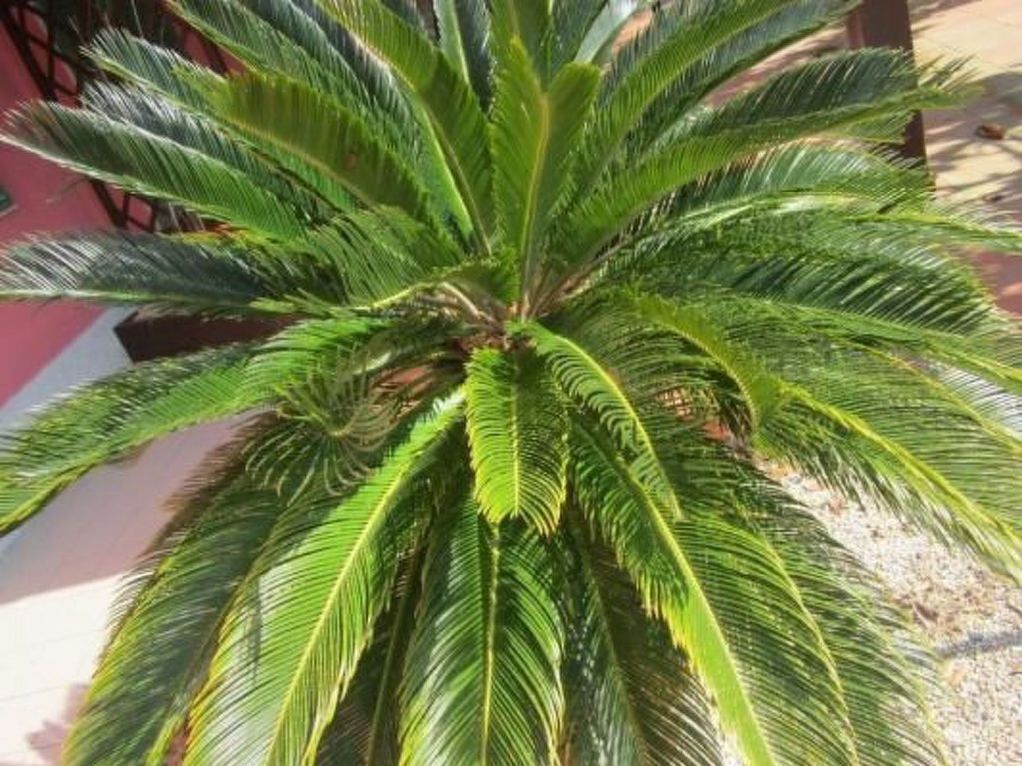 Photo of Wohnung mit Wasserblick