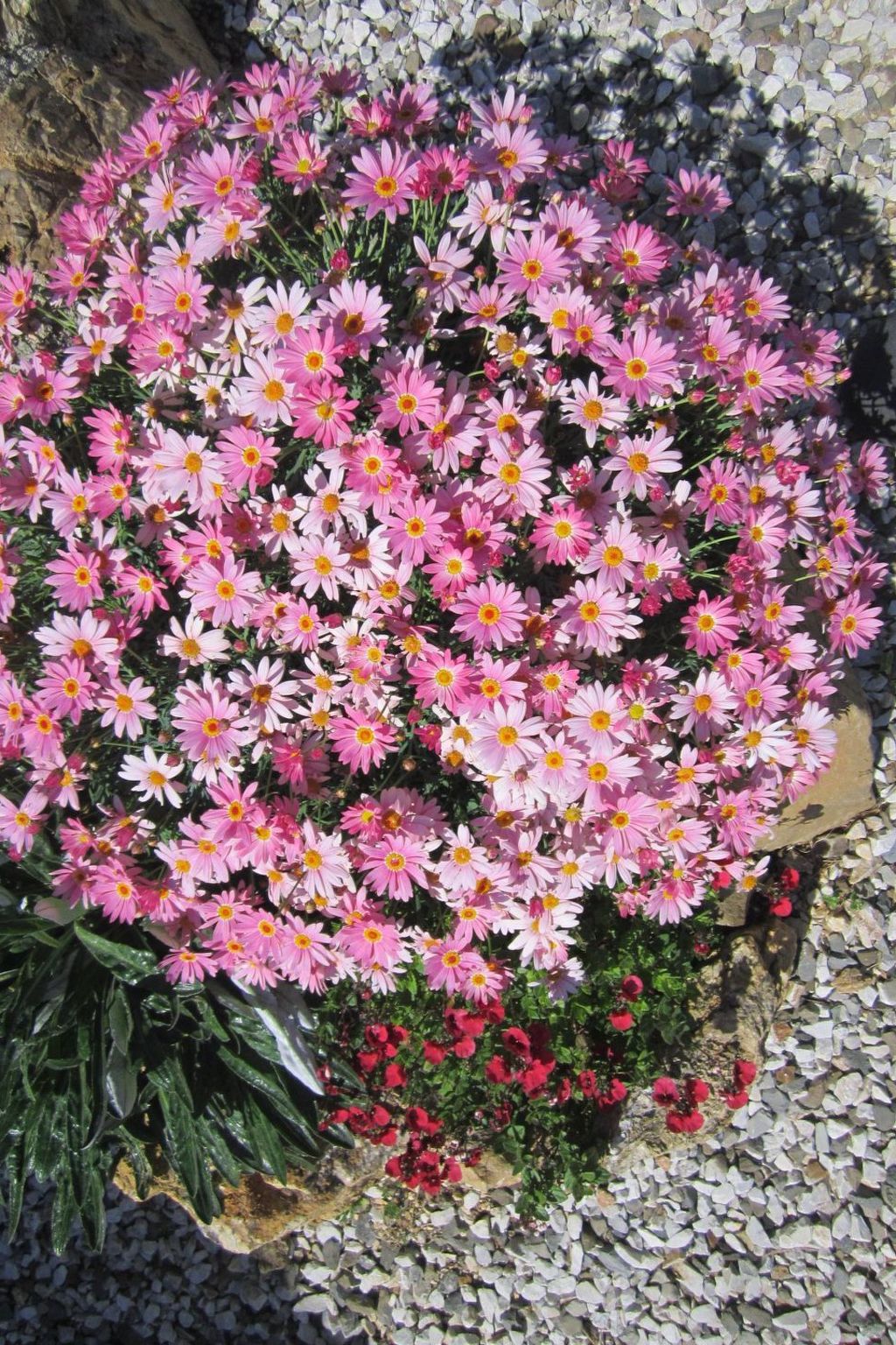 Wohnung mit Wasserblick-Binnen