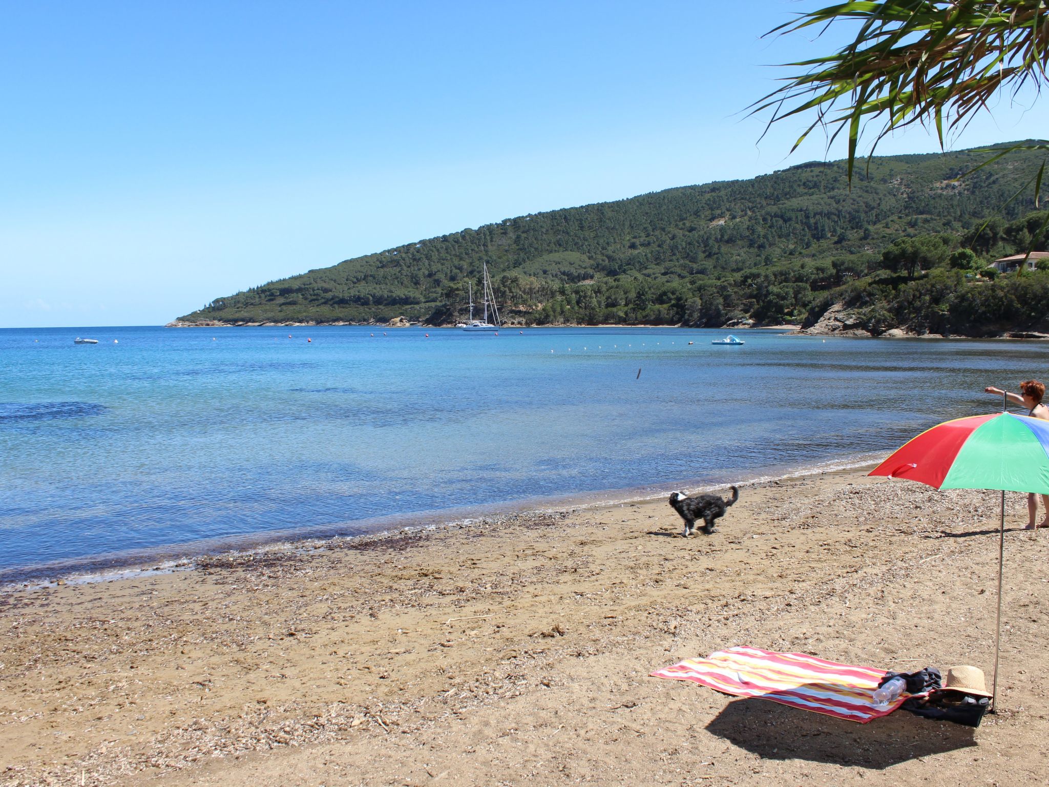 Photo of Calamita' Wohnung mit privatem Parkplatz