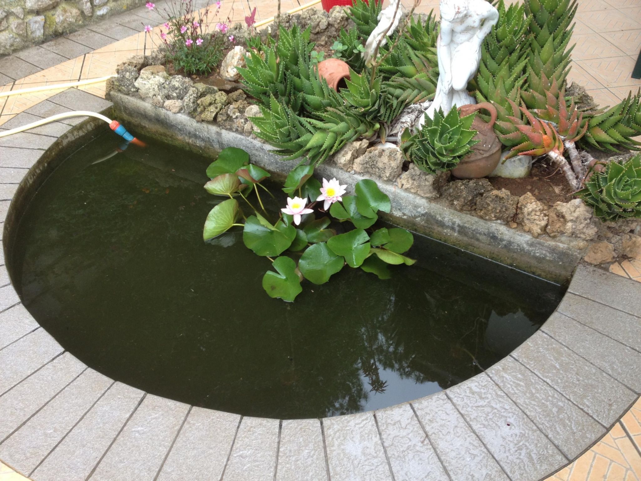 Gemütliches Appartement in Capoliveri mit Grill und Terrasse-Binnen