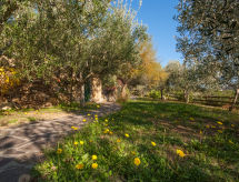 Maison Piccola Oasi 6