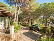 Maison Piccola Oasi 6