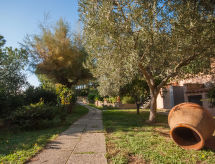 Maison Piccola Oasi 6