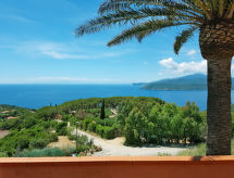 Apartment Palma