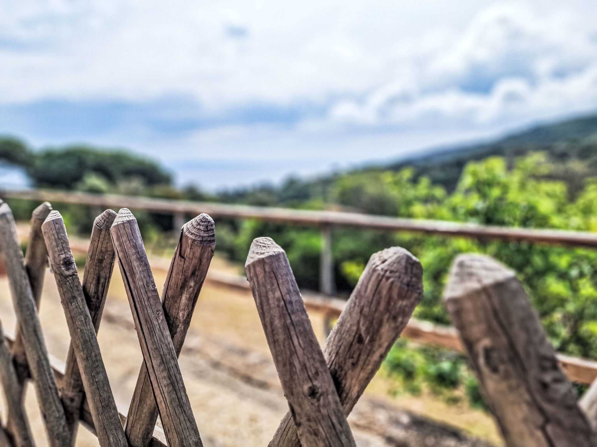 Appartamenti Le Querce App. Mirto - Buiten