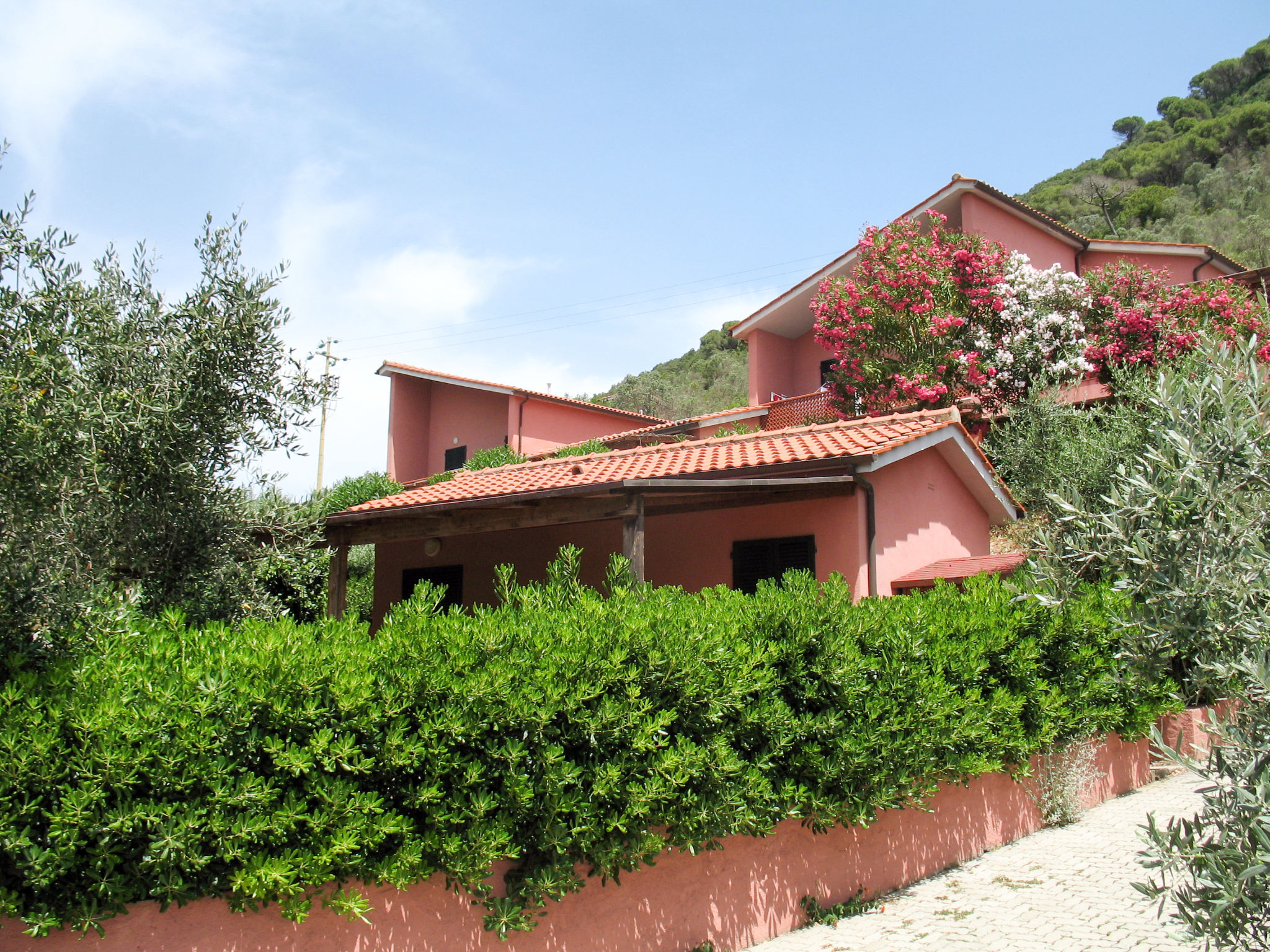 Photo of Elbamar Lacona 1