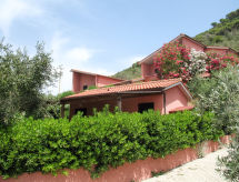 Elbamar Lacona 1