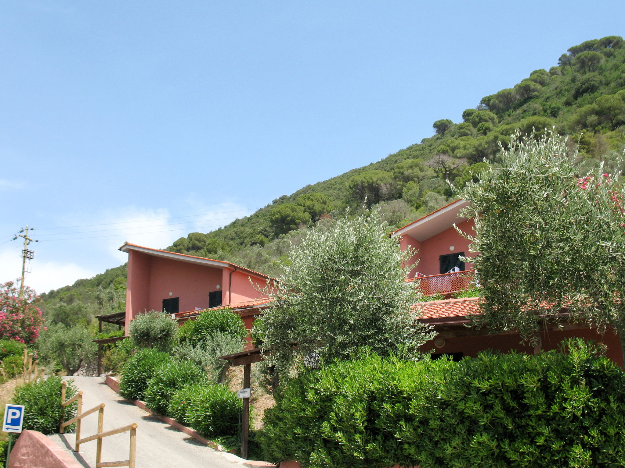 Photo of Elbamar Lacona 1