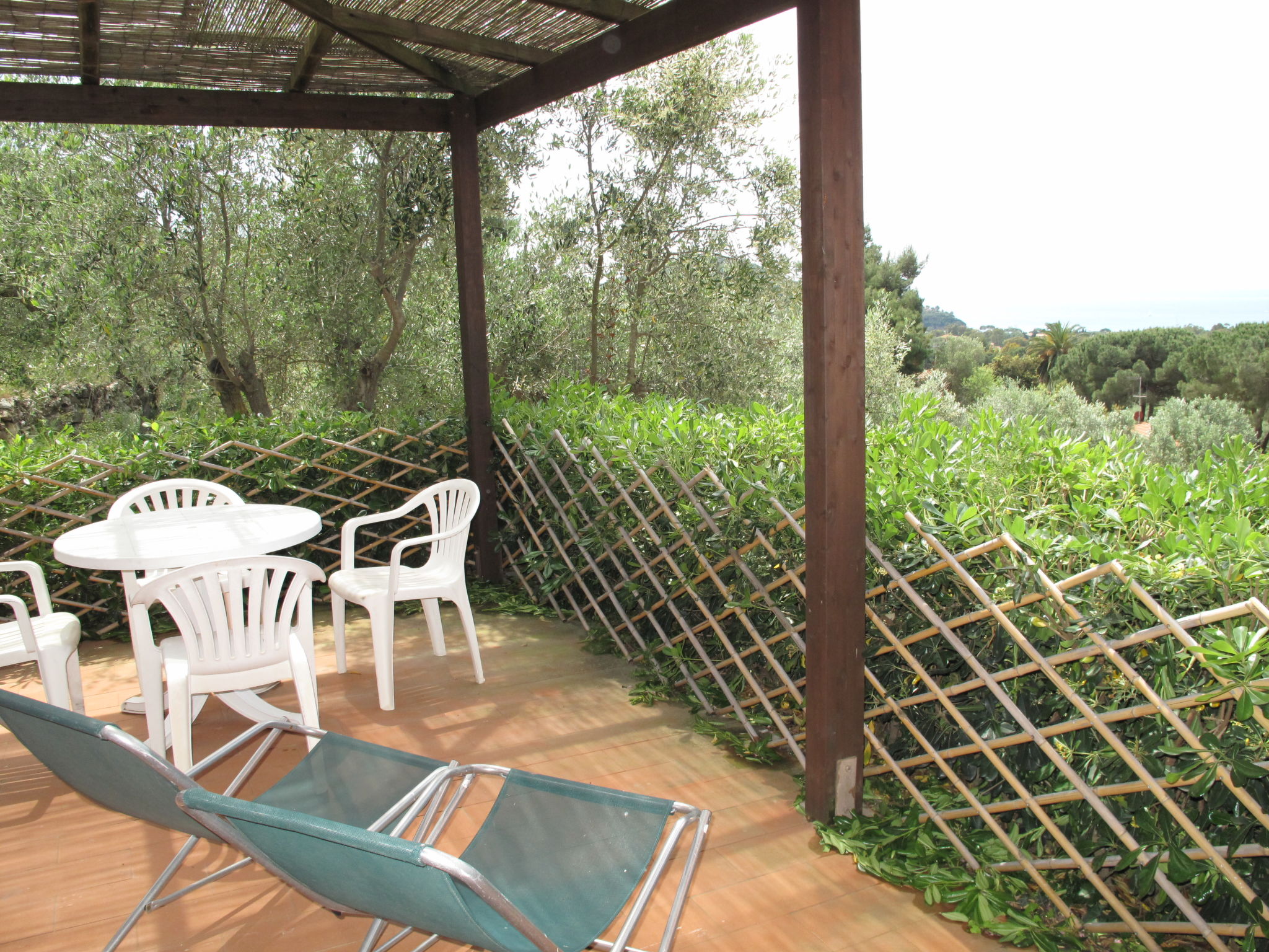 Photo of Elbamar Lacona 1