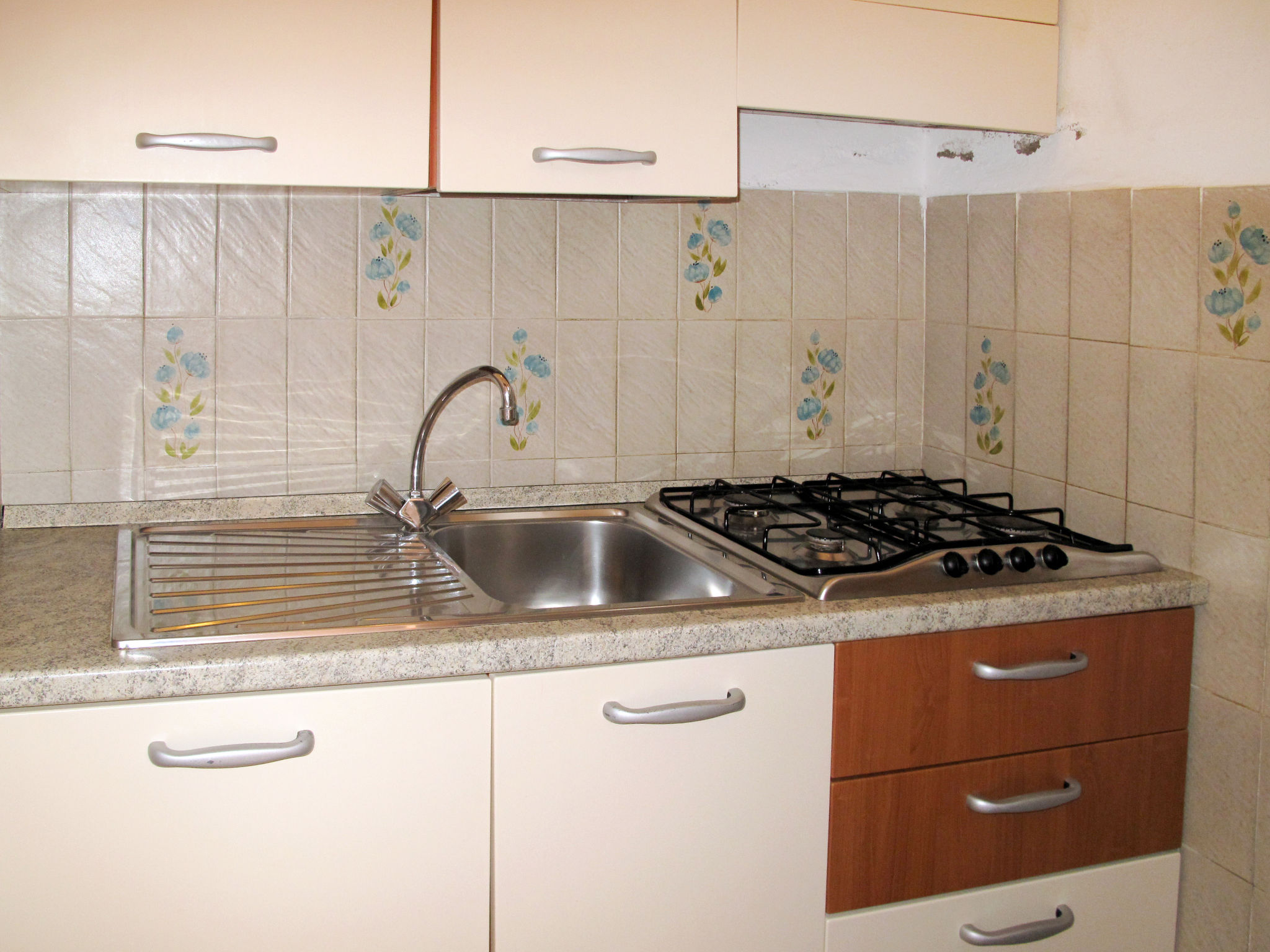 Photo of Elbamar Lacona 1