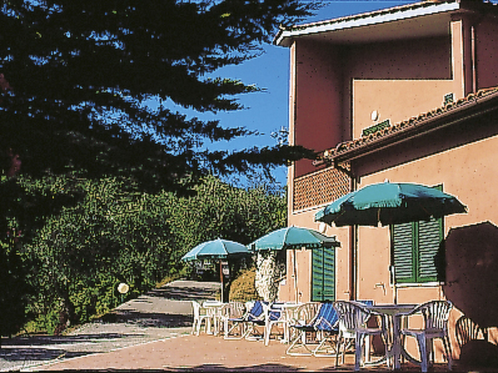 Photo of Elbamar Lacona 1